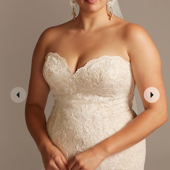 2021 David’s Bridal Plus Size Mermaid Wedding Dress STYLE# AI13030441 - Picture 6 of 8